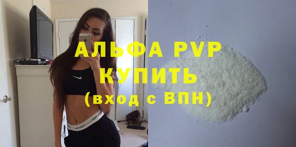 шишки Кодинск
