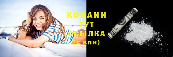 стаф Козельск