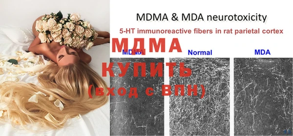 молекула духа Лабытнанги
