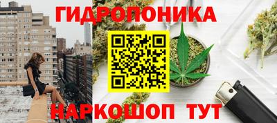 бошки Тверь