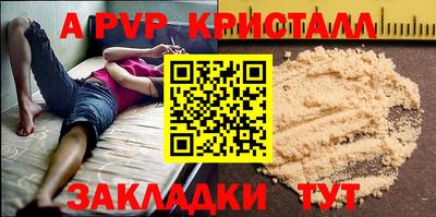 бошки Тверь