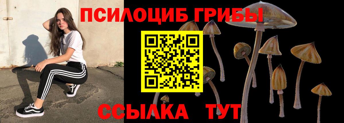 Псилоцибиновые грибы ЛСД Кинешма